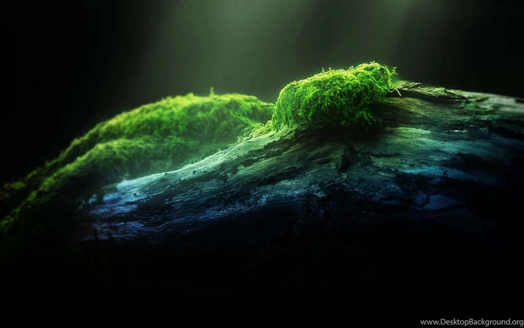 Wet Hd Wallpapers ›› Page 0