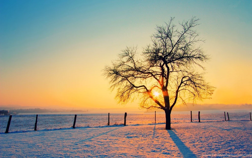 Mac Winter Wallpapers Wallpapers Cave