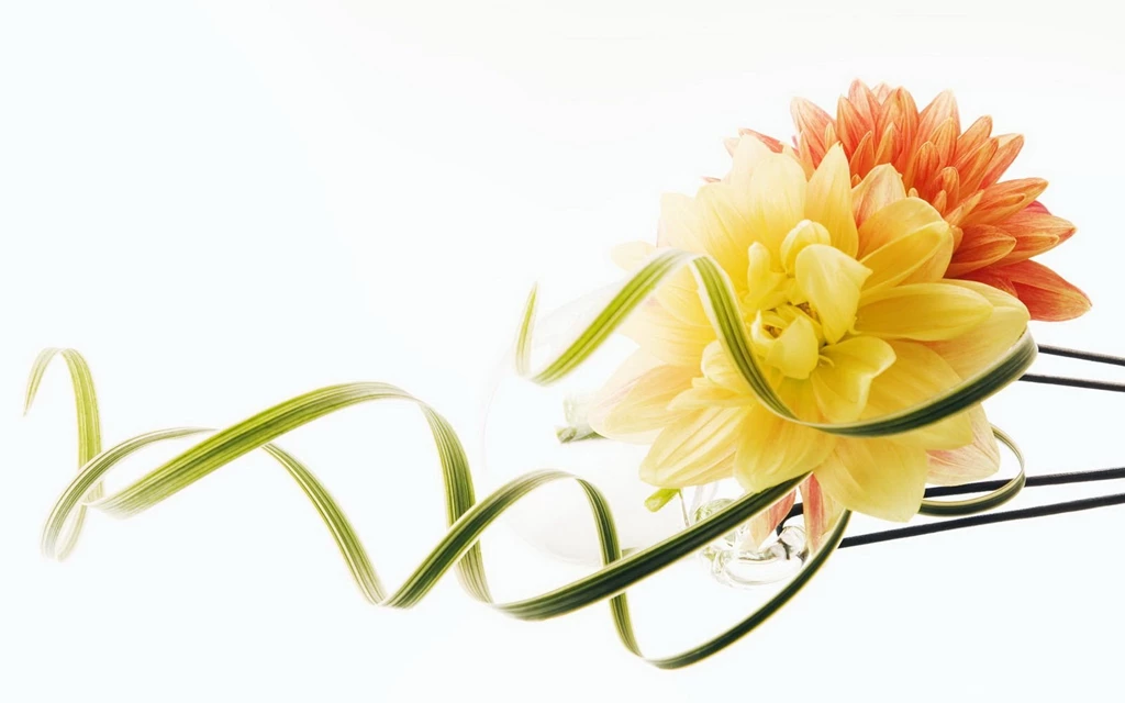Flower Wallpapers A4 Wallpapers