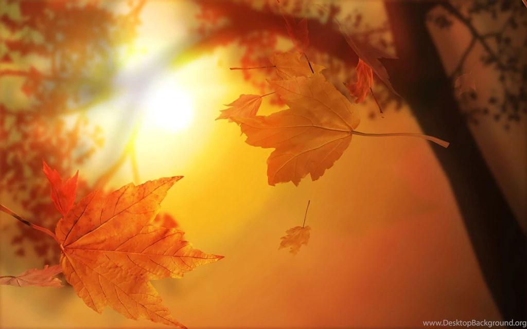 Fall Computer Wallpapers, Desktop Backgrounds