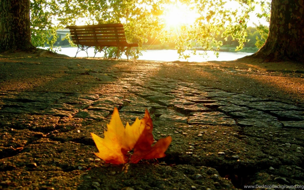 Download Autumn River Wallpapers Mobile