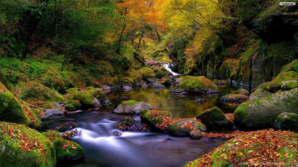 YouWall Autumn Landscape Wallpapers Wallpaper,wallpapers,free ...