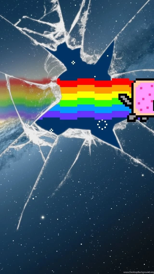 Cat iPhone 5s Wallpapers