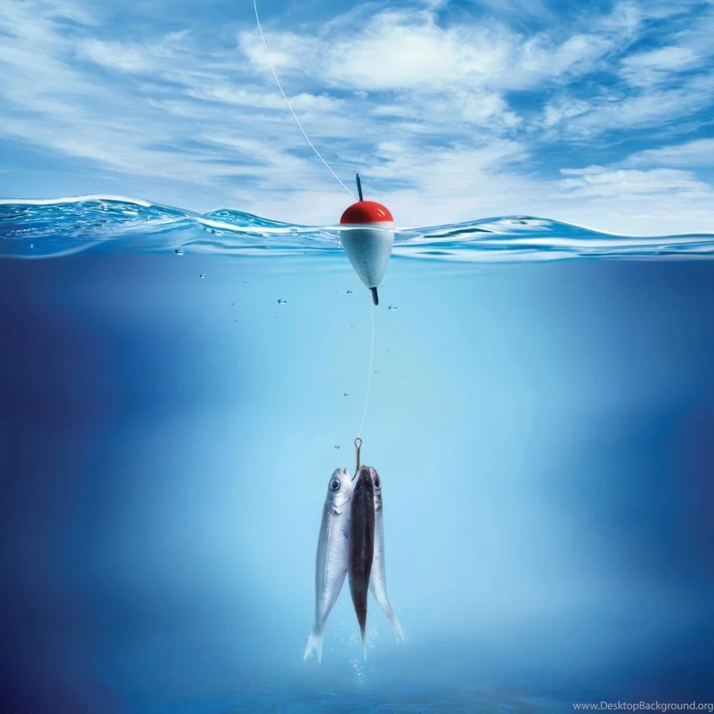 Fishing ipad backgrounds