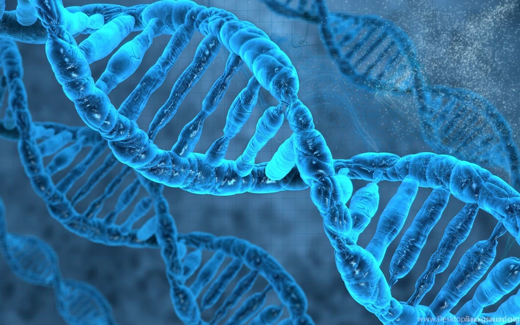 DNA Molecule HD Wallpapers   IHD Wallpapers