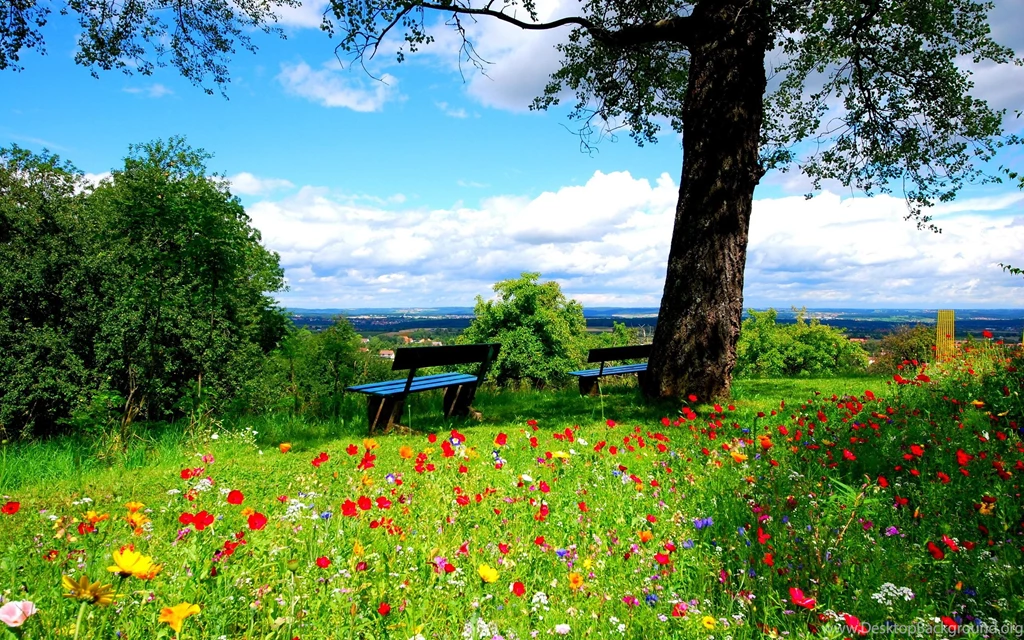 Dream Spring 2012 Peaceful Place Wallpapers HD Wallpapers 96622