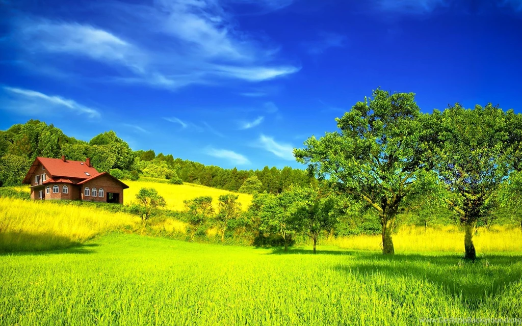 Dream Summer 2012 Peaceful Place Wallpapers HD Wallpapers 96355