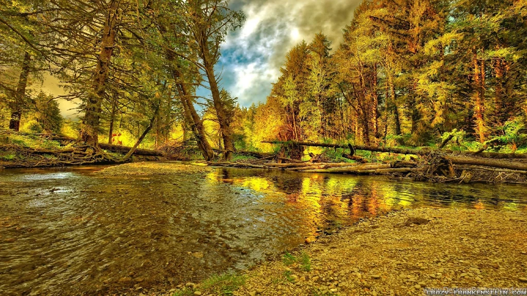 Autumn Woods Wallpapers Seasonal Crazy Frankenstein