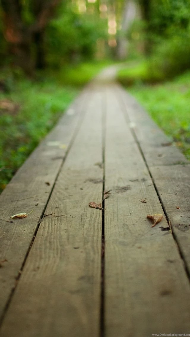 Wooden Road iPhone 5 Wallpapers