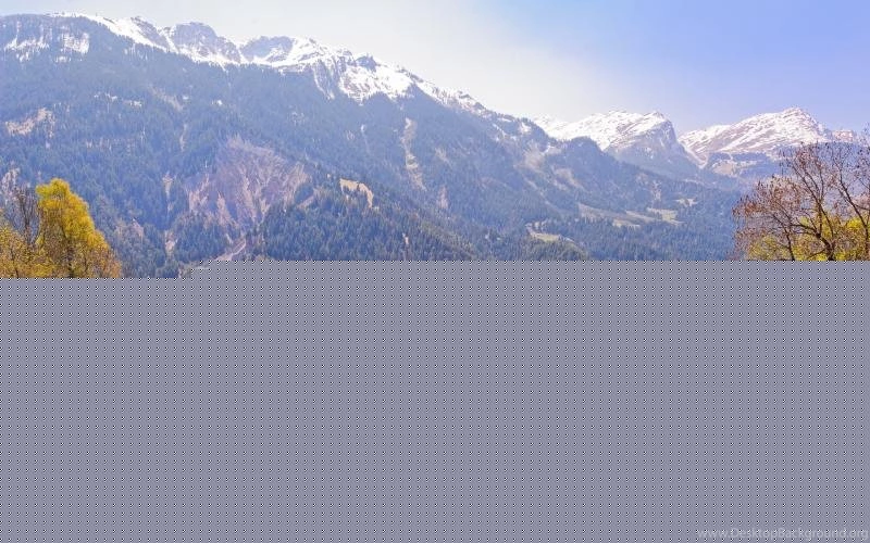 Switzerland, Fields, Trees, Mountains, Slopes, Village Wallpapers ...