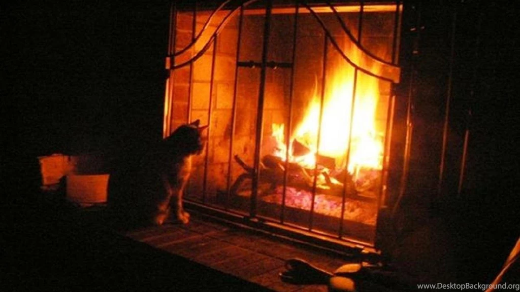 Kitty By The Fireplace   (