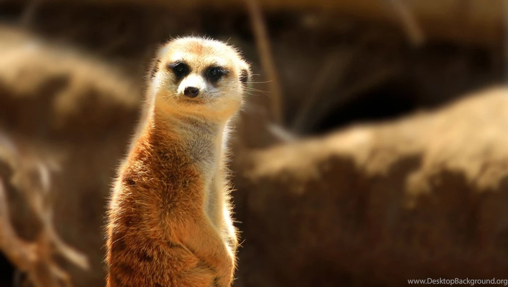 Hd 93393 Computer Wallpapers Landcapes   HD Wallpaper Backgrounds