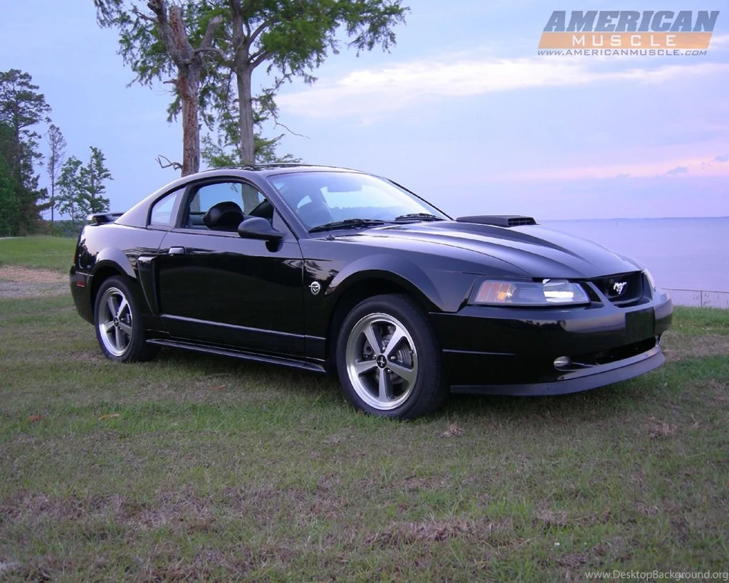 Ford Mustang Wallpapers & Mustang Backgrounds