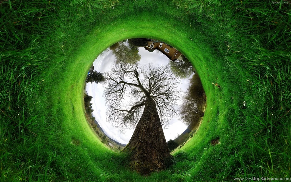 Descargar Fondos De Pantalla Arbol Digital Hd Widescreen Gratis ...