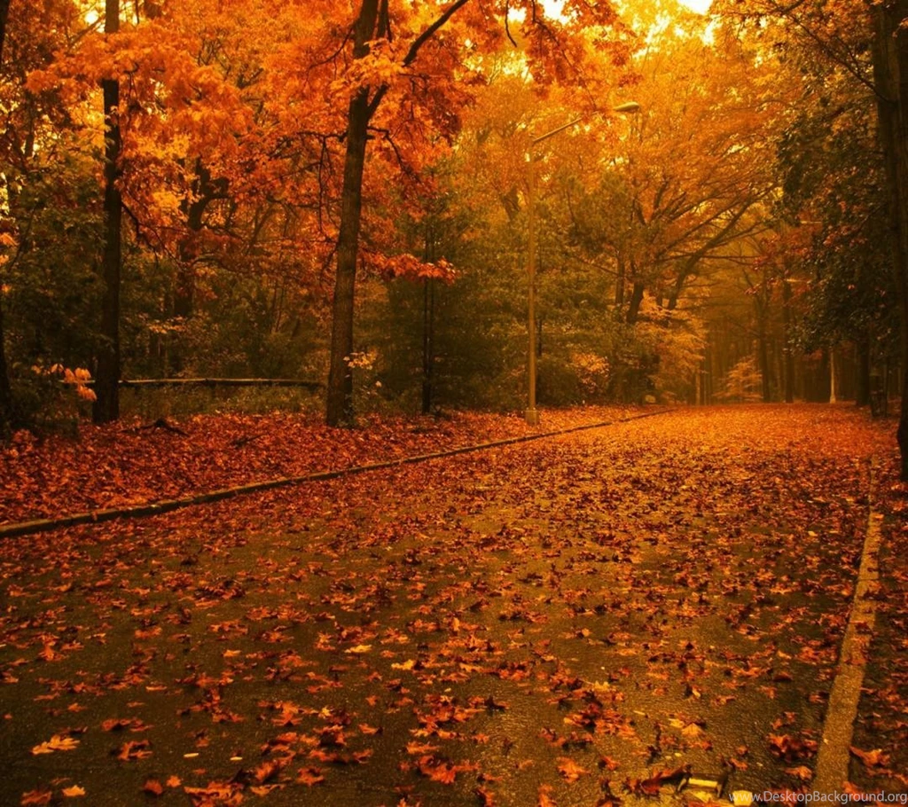 Free Fall Wallpapers For Desktop Download Free