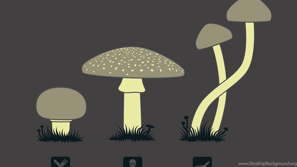 Shroom