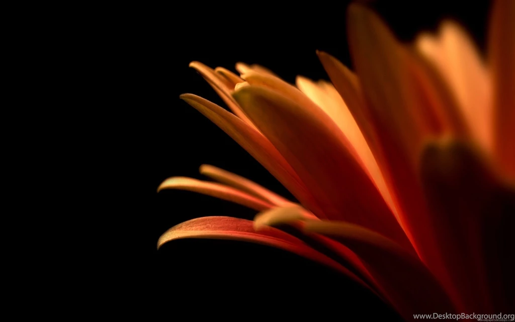 Hd Wallpapers For Computer Desktop HD Wallpapers Pretty