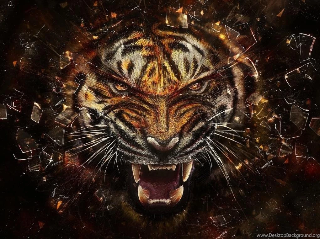 Top 3D Wallpapers Wallpapers Cave