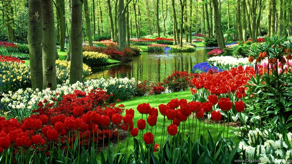 1920x1200px Colorful Garden Wallpapers
