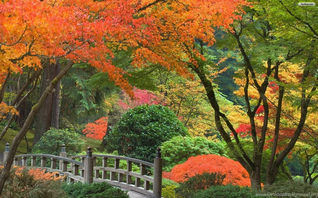 YouWall   Japanese Garden Wallpapers   Wallpaper,wallpapers,free ...