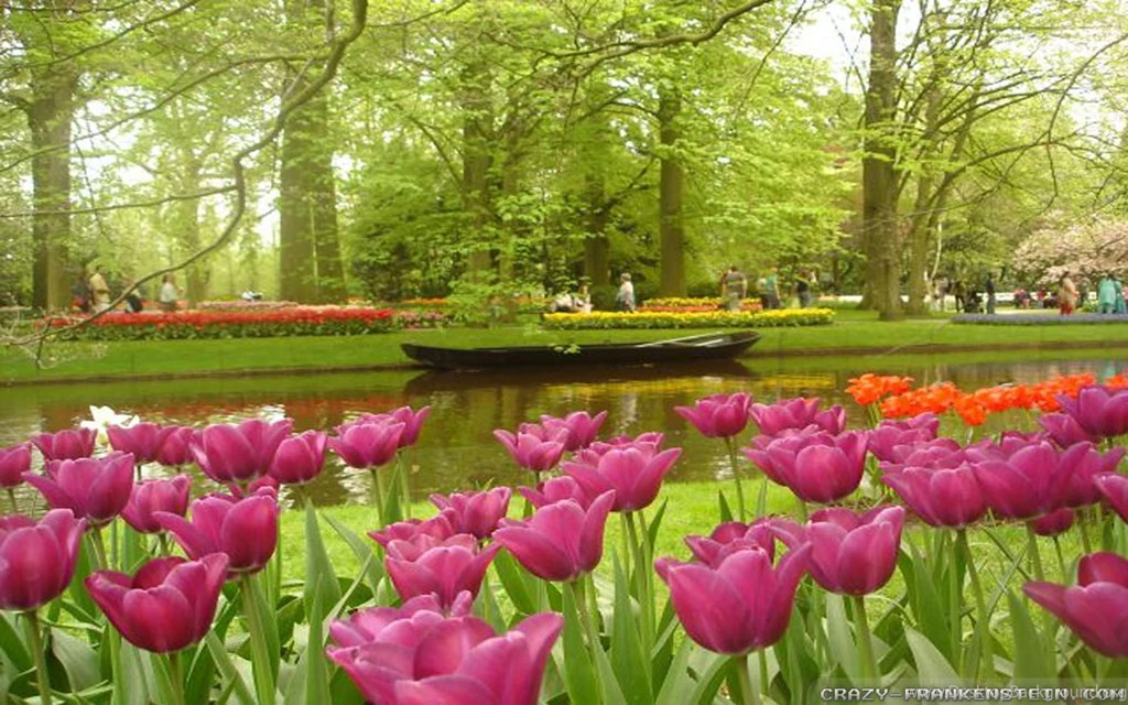 Flower Garden Wallpapers For Desktop SV7