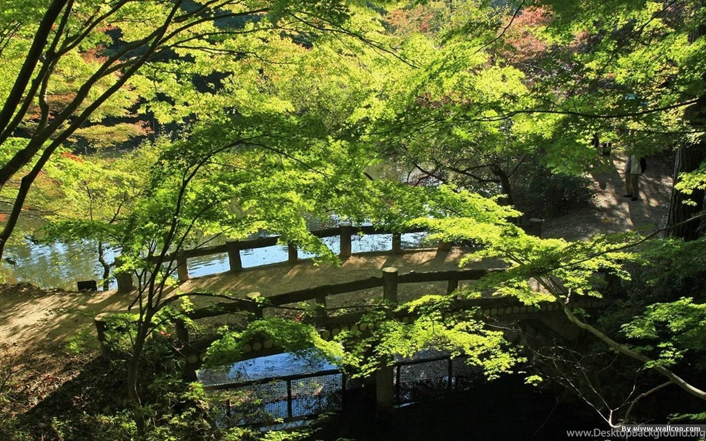 Beautiful Japanese Garden Wallpapers 1280x800 NO.29 Desktop ...