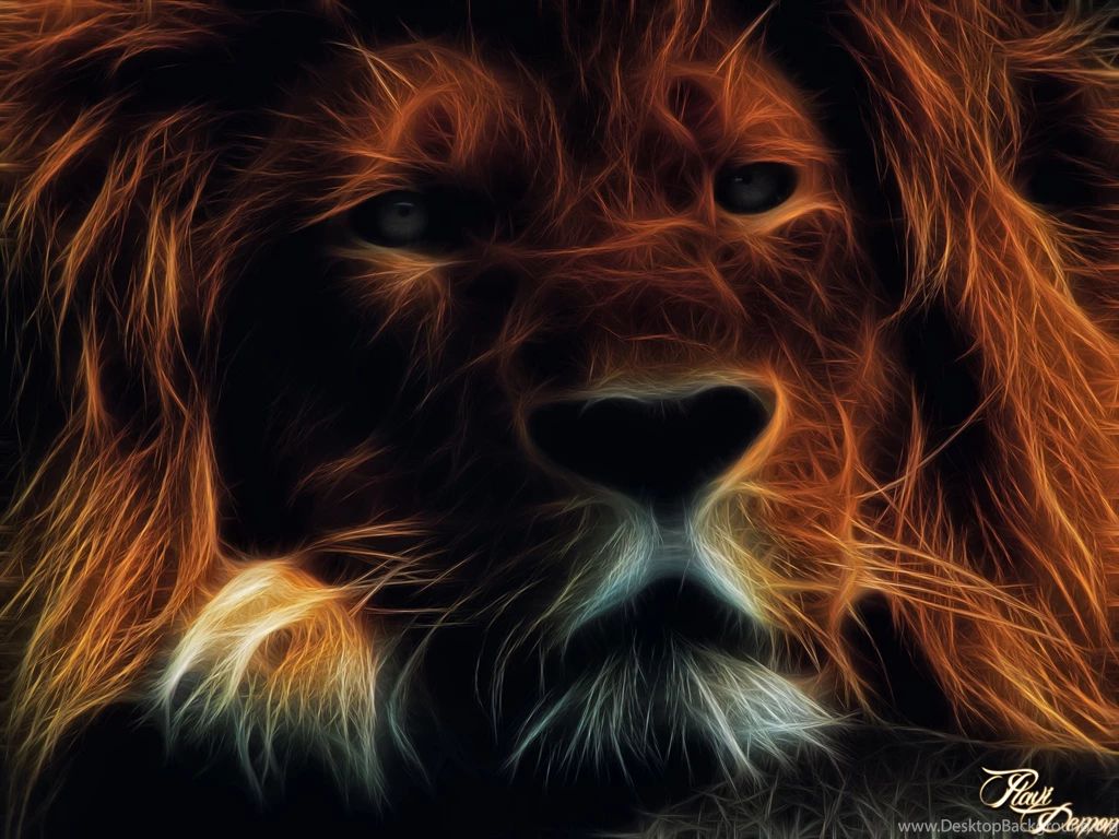 Nature Nexus 5 Wallpapers Hd 28