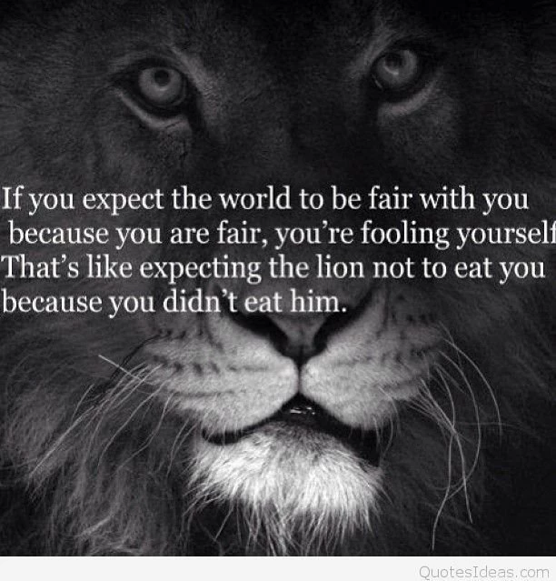 Lion background quote hd.jpg