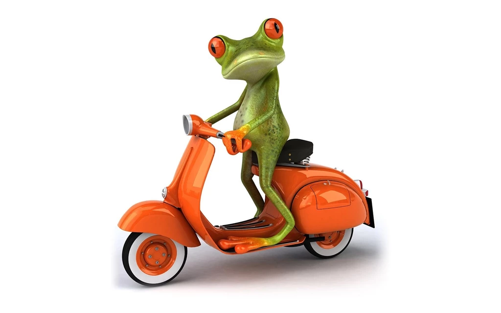 Green Frog On Wallpapers 7.jpg