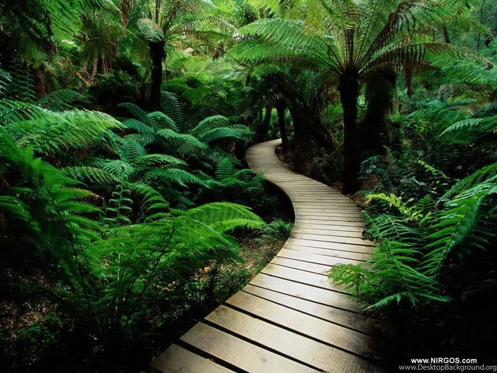 Free Desktop Backgrounds 8 Best Wallpapers Collection