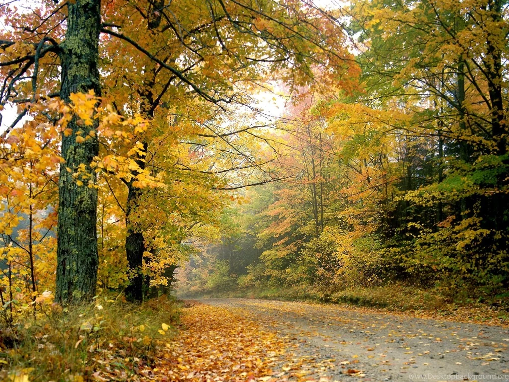 Desktop Backgrounds Wallpapers Free Download   2 Items