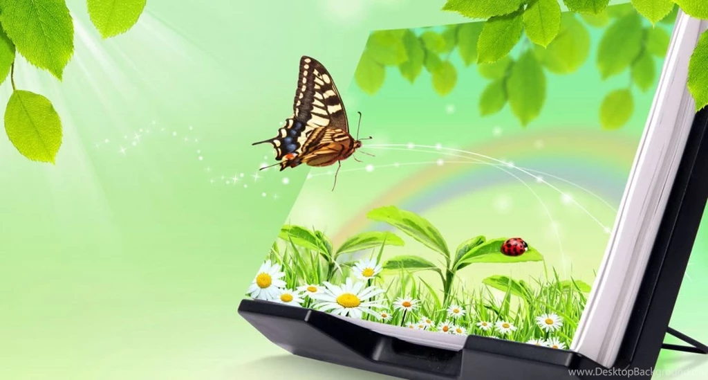 Butterfly flying 3D wallpapers