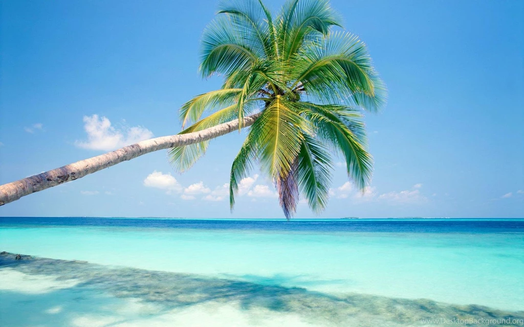 Tropical Island Hd
