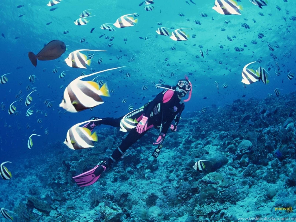 42 Under The Sea Wallpapers