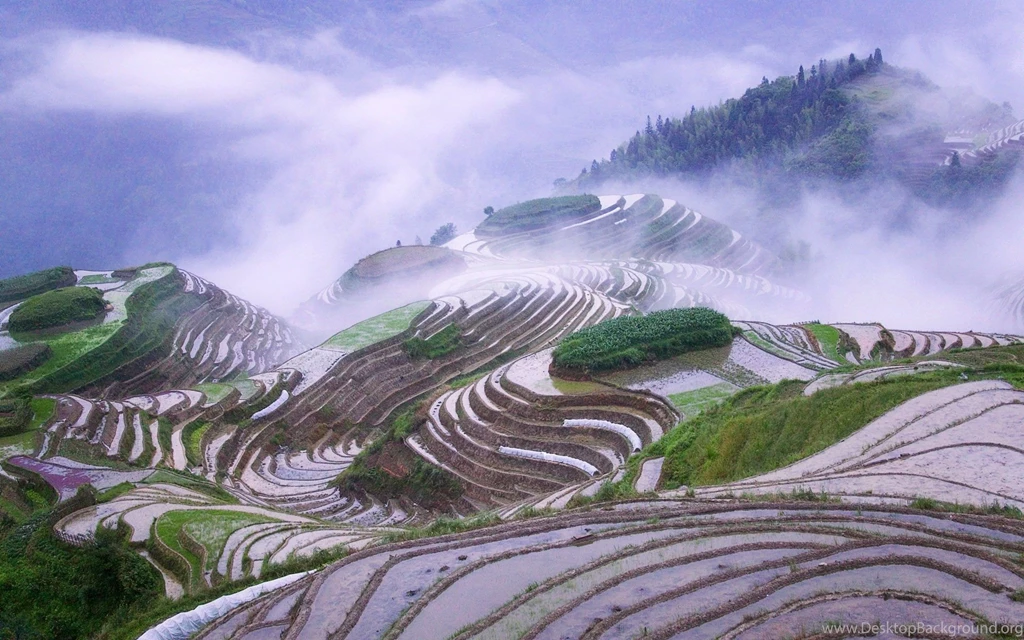 Rice Terraces In Early Morning Mist 2C Guangxi Province 2C China ...