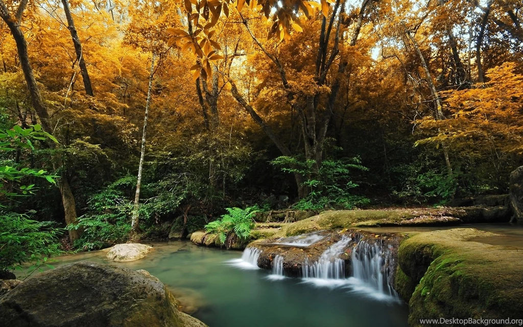 Gallery For Fall Wallpapers Hd Widescreen