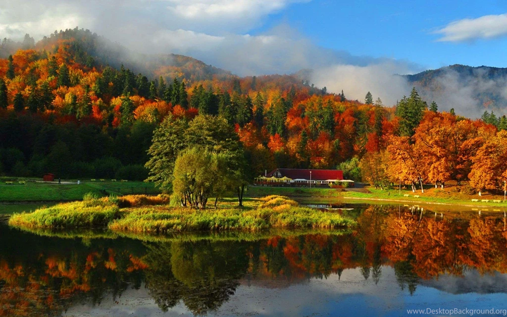 Misty Autumn Mountain (