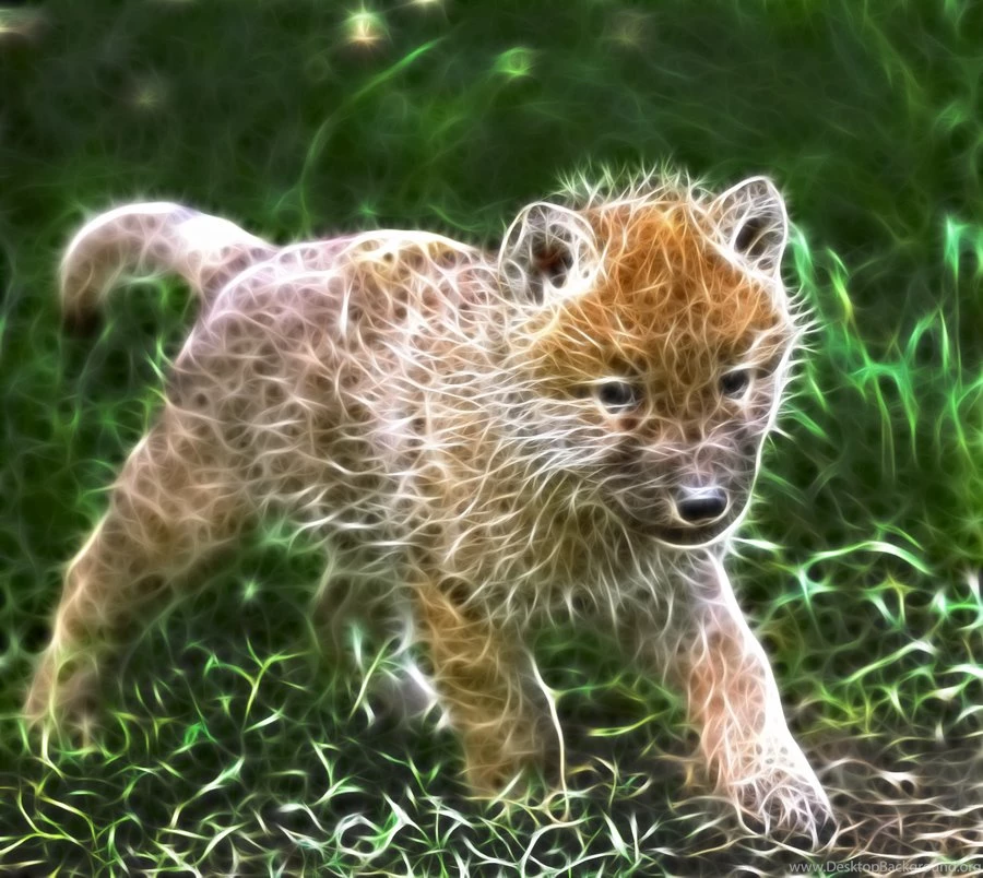Fractal Wolf Pup By Msggordon On DeviantArt