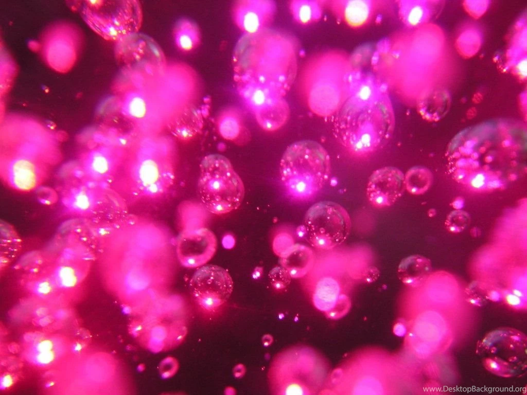 Bright Pink Wallpapers All Wallpapers New