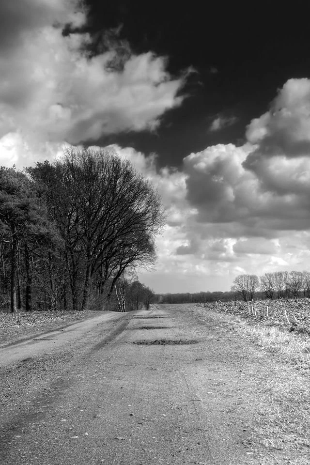 Iphone4 Black and White Road.jpg