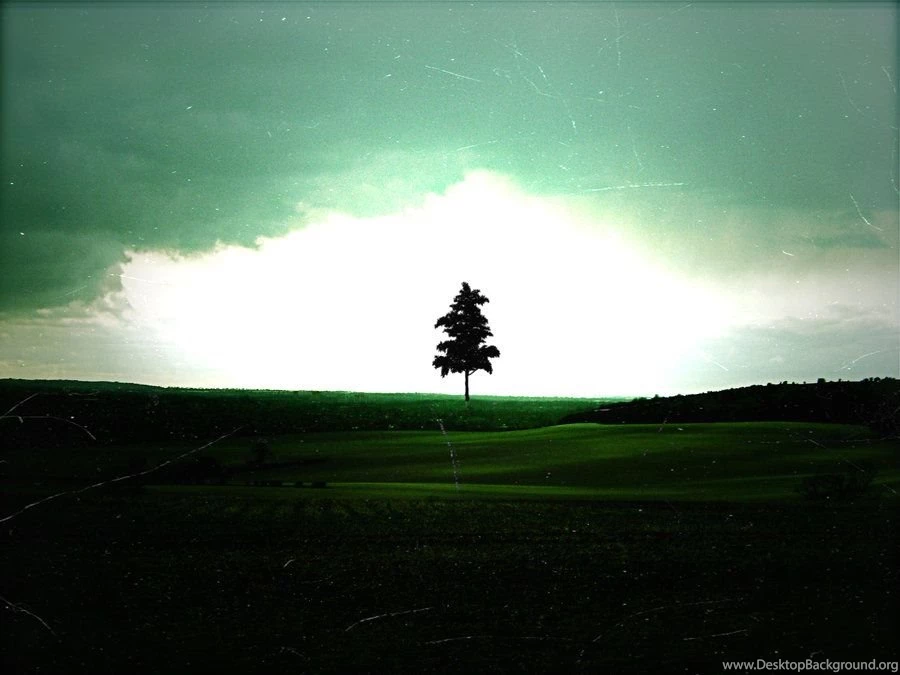 Six Feet Under By Error 23 On DeviantArt