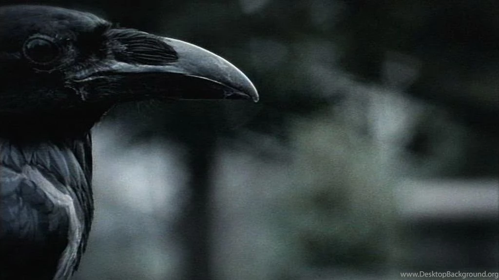 HBO: Six Feet Under: Opening Sequence