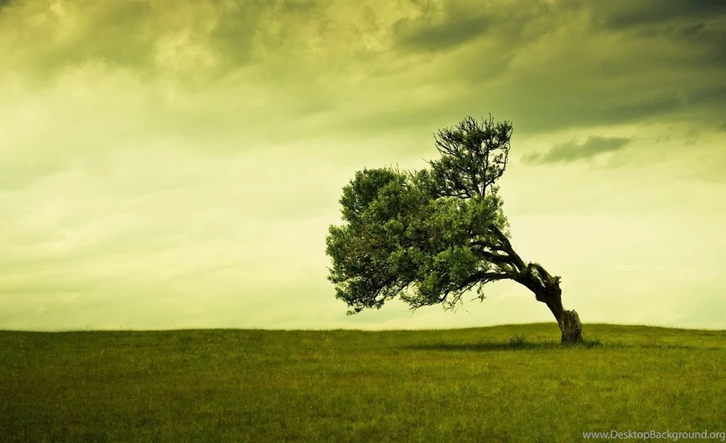 Backgrounds Wallpapers HD 1080p On Pinterest