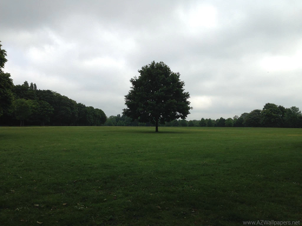 Inlet My Friend Borrow My Calculator For His Math Regents : DickButt