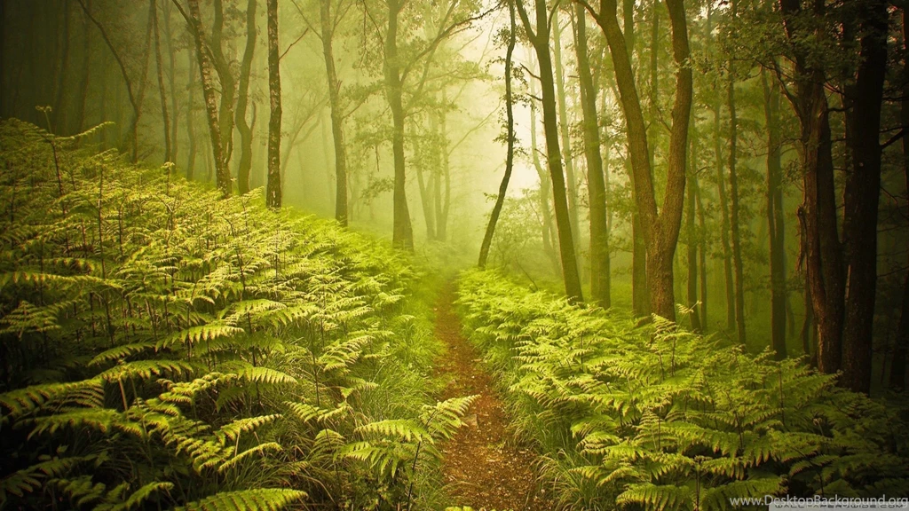 Landscape HD Wallpapers