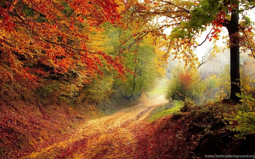 Beautiful Nature & Landscapes Wallpapers Page 1