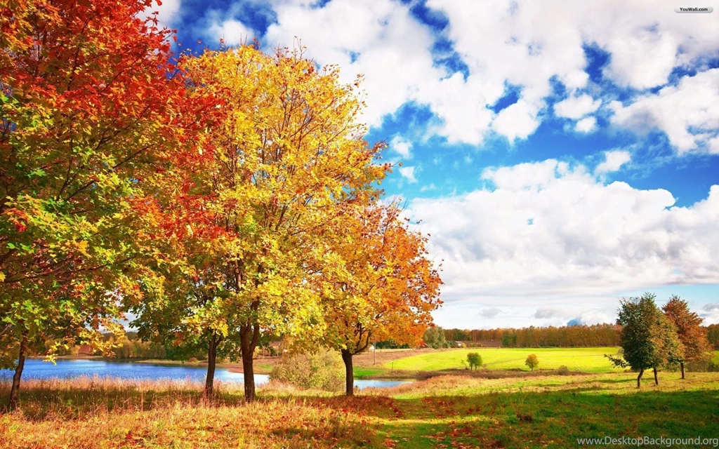 YouWall   Sunny Autumn Wallpapers   Wallpaper,wallpapers,free ...