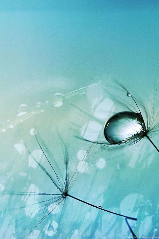 Natural landscape mobile wallpapers 640x960 02.jpg