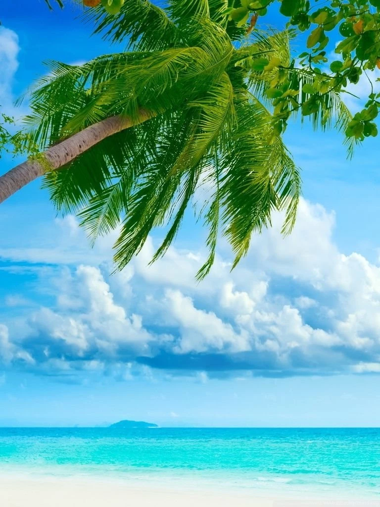 Tropical Beach Resorts HD Desktop Wallpapers : Widescreen : High ...