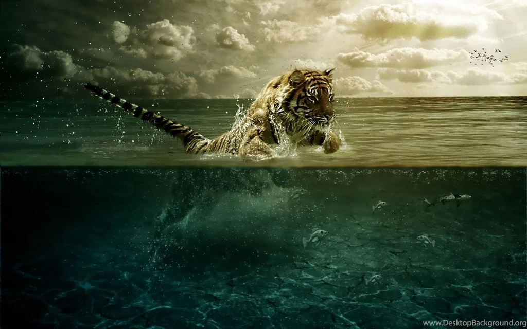 Fishing Widescreen HD Wallpapers 17520 Amazing Wallpaperz